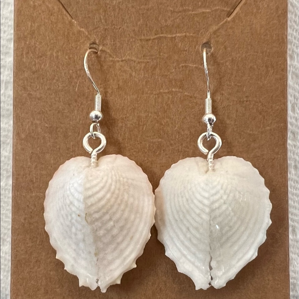 Gorgeous heart shaped real seashells